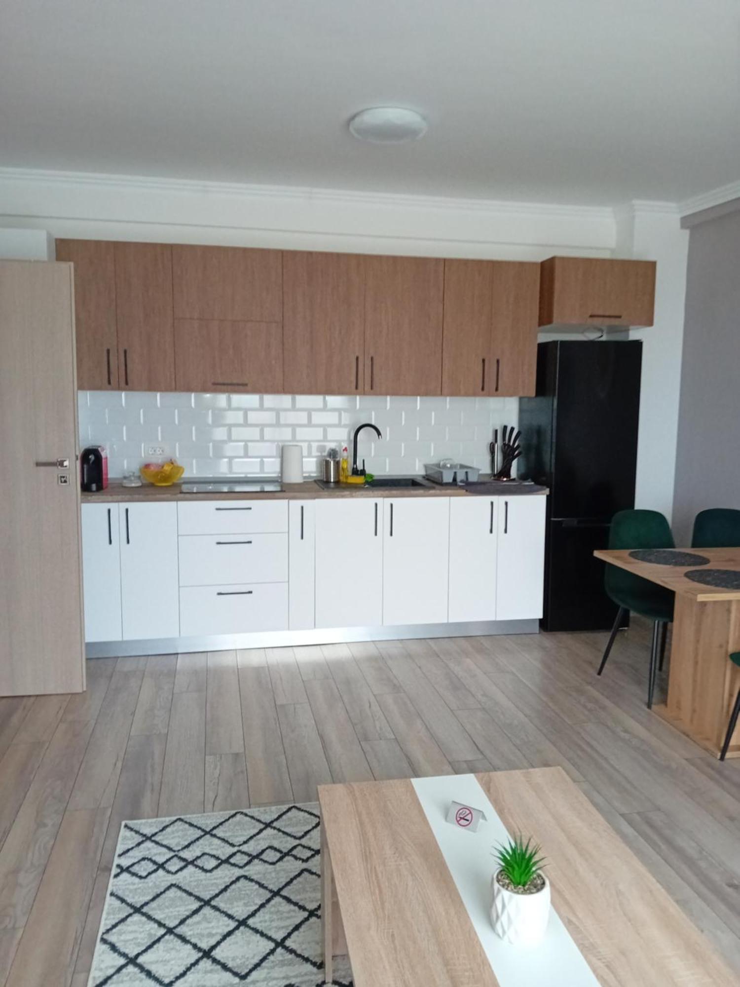 Apartament Adrian Băile Felix Dış mekan fotoğraf